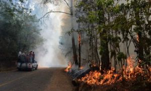 159 trận cháy rừng cùng lúc khiến một quốc gia nóng tới 45 độ C