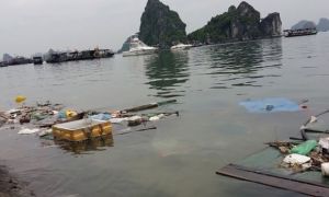 Du khách nước ngoài: Nếu biết vịnh Hạ Long ô nhiễm như vậy đã không đến